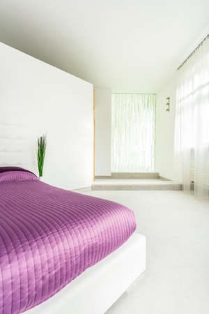 Spacious white apartment with comfortable double bedの写真素材