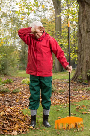 Image of elderly man cleaning garden from leavesの写真素材