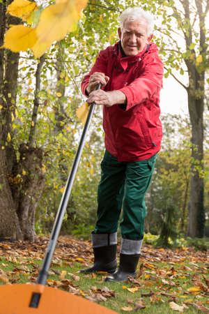 Pensioner working in garden during autumn timeの写真素材