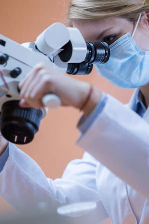 Dentistry using dental microscope in modern dental officeの写真素材