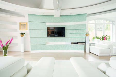 Plasma TV on the wall in elegant luxury interiorの写真素材