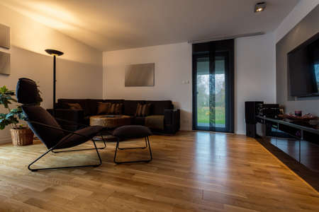 Spacious luxury front room with movie theaterの写真素材