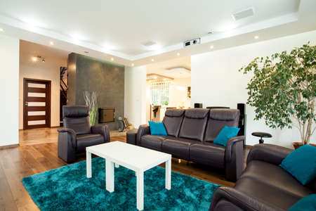 Horizontal view of luxurious modern living room
