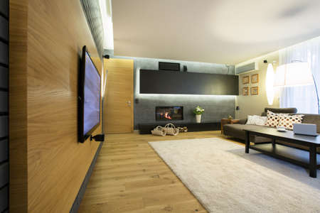 Spacious luxury lounge with big movie theater on wall