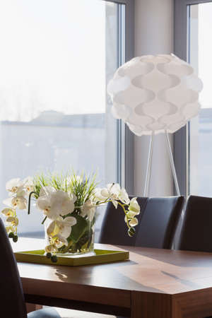 Orchid on the table in contemporary interiorの写真素材