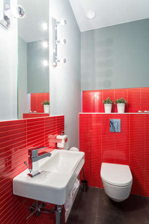 Red toilet with bowl and sinkの写真素材