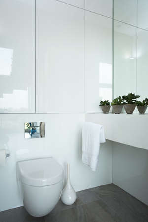 Exclusive white bathroom with porcelain toilet