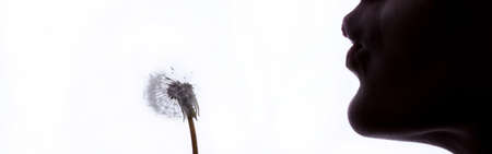 Woman with dandelion on isolated white backgroundの写真素材