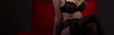 Panorama of alluring lady wearing sexy lingerieの写真素材