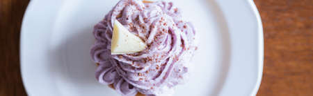 Blueberry cupcake with white chocolate and cocoa on topの写真素材