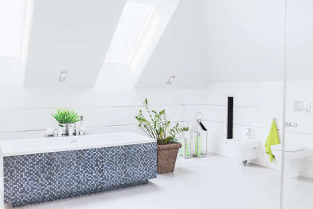 Spacious white bathroom with big mosaic bathの写真素材