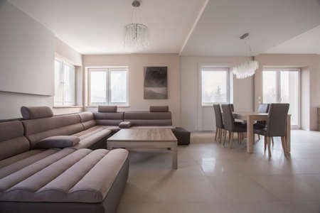 Spacious up-to-date living room with fancy comfortable couchの写真素材