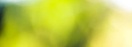 Picture of yellow and green abstract backgroundの写真素材