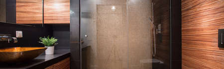 Panorama of stylish bathroom with fancy showerの写真素材