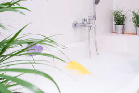 Horizontal view of bath with cream foamの写真素材