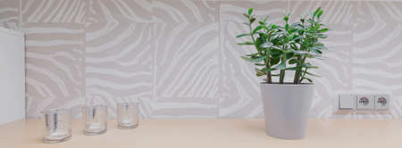 Plant on the tabletop in the roomの写真素材