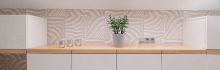 Plant on the cabinet in the roomの写真素材