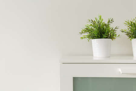 Close up of green plants in white pots on cabinetの写真素材