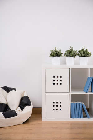 Picture of comfortable bean bag chair beside bookcaseの写真素材