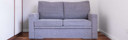 Panorama of simple comfortable double sofa in white interiorの写真素材