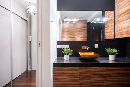 Horizontal view of elegant modern bathroom designの写真素材