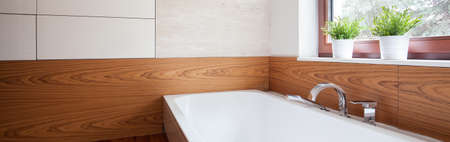 Elegant stylish bathtubの写真素材