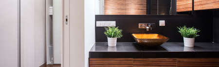 Posh elegant glass wash basin - panoramic viewの写真素材