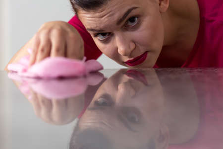 Pedantic woman cleaning dust from the tableの写真素材