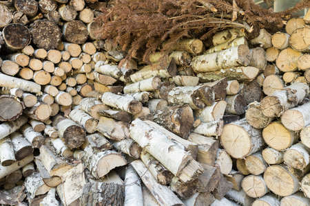 Close up of small pieces of dry wood to fireplaceの写真素材