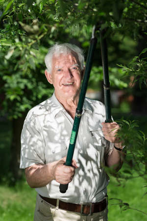 Elderly man is working in his garden trimming trees