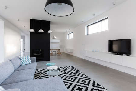 Spacious modern living room with fancy black and white carpet