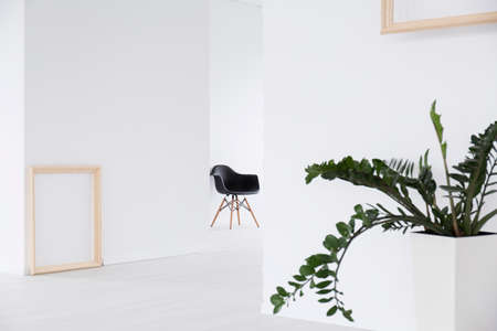 White interior with plant in decorative pot, frames hanging on walls, black chair in the background