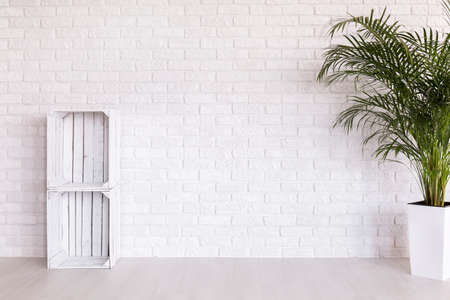 DIY regale made from wood boxes and plant in decorative plant standing in white interior with light flooring and brick wallの写真素材