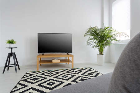 Living room with pattern carpet, television, sofa and decorative plantsの写真素材