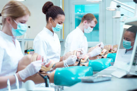Busy young dentistry students on classes practicing on phantomsの写真素材