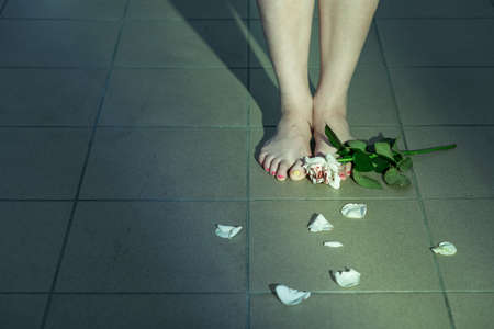 Close-up of woman's feet on a tiled floor, with a rose and rose petals scattered aroundの写真素材