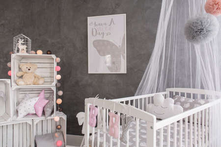 Shot of a cozy baby room with a canopy bed