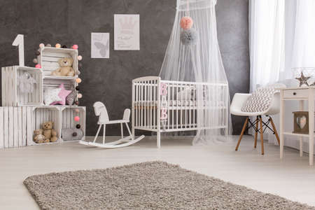 Shot of a cozy baby room with a canopy bed