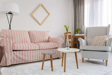 Shot of a cozy living room with a sofa and an armchairの写真素材
