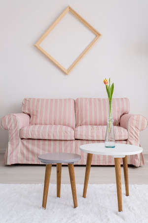 Shot of a pink sofa in a cozy living roomの写真素材