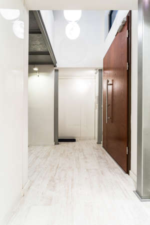 Light entrance hall with brown doors, light flooring and decorative lighting