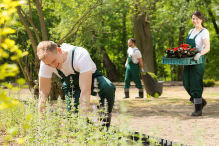Team work in the garden in full springの写真素材