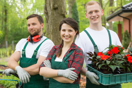 Team of gardeners about to plant ssedling of red flowersの写真素材
