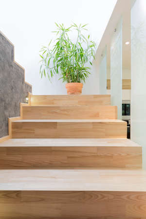 Closeup shot of the wooden stairs in a modern house interiorの写真素材