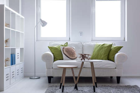 Shot of a living room designed in white with beautiful sofa and a large bookshelfの写真素材