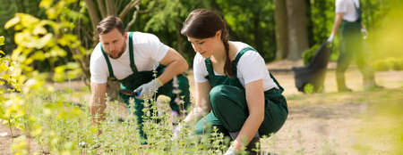 Shot of two gardeners planting flowers in a gardenの写真素材