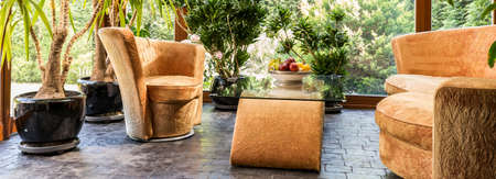 Relaxation window room with plants and comfortable furnitureの写真素材