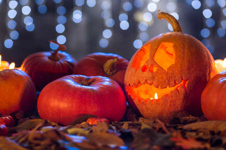 Closeup shot of pumpkins and a scary Jack-o-lanternの写真素材