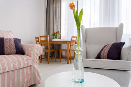 Spacious interior with upholstered sofa and armchair, wooden table and chairsの写真素材