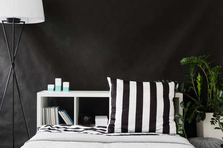 Black and white bedroom with new furniture and houseplantの写真素材